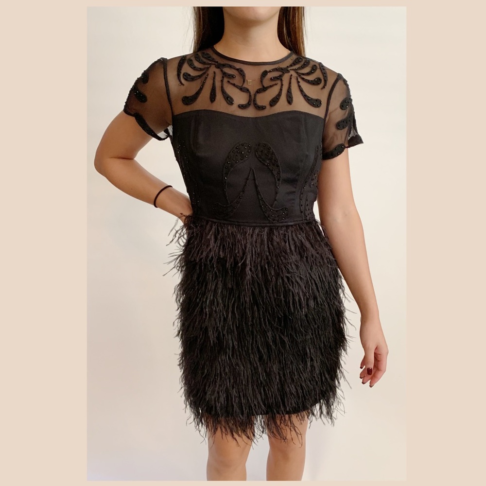 ASOS Petite Feather Embroidered Dress